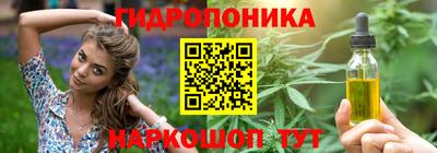 индика Рузаевка