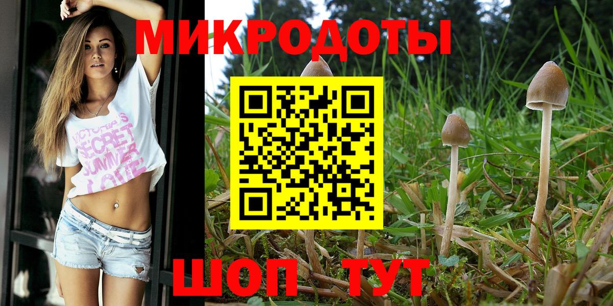 Галлюциногенные грибы Psilocybine cubensis Сухой Лог