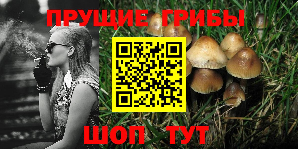 Сухой Лог  Галлюциногенные грибы Cubensis  Псилоцибиновые грибы ЛСД  Вход с VPN 